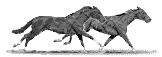 cheval_125.gif cheval_125.gif